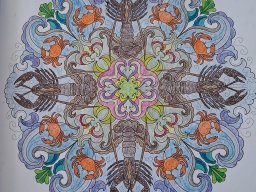 whatsapp bild 2025-07-13 um 12.39.29_93514d2b